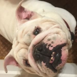 Meet your Posher, Christopher